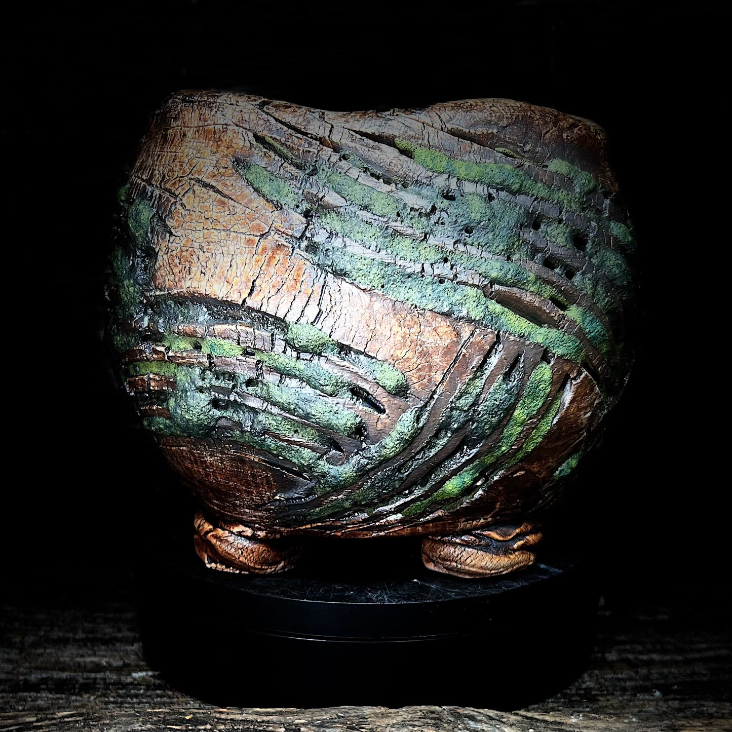 Sliced Lichen (with feet)
